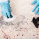 carpet cleaning in brooklyn, carpet cleaning in new york, carpet cleaning brooklyn, carpet cleaners in brooklyn, carpet cleaners in new york, commercial carpet cleaning, commercial carpet cleaning in brooklyn, brooklyn rug cleaners, rug cleaning services in brooklyn, same day carpet cleaning, same day rug cleaning